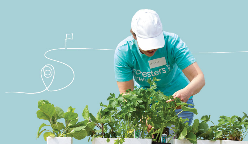 planting