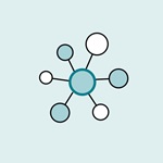 social connections