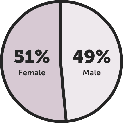 pie chart